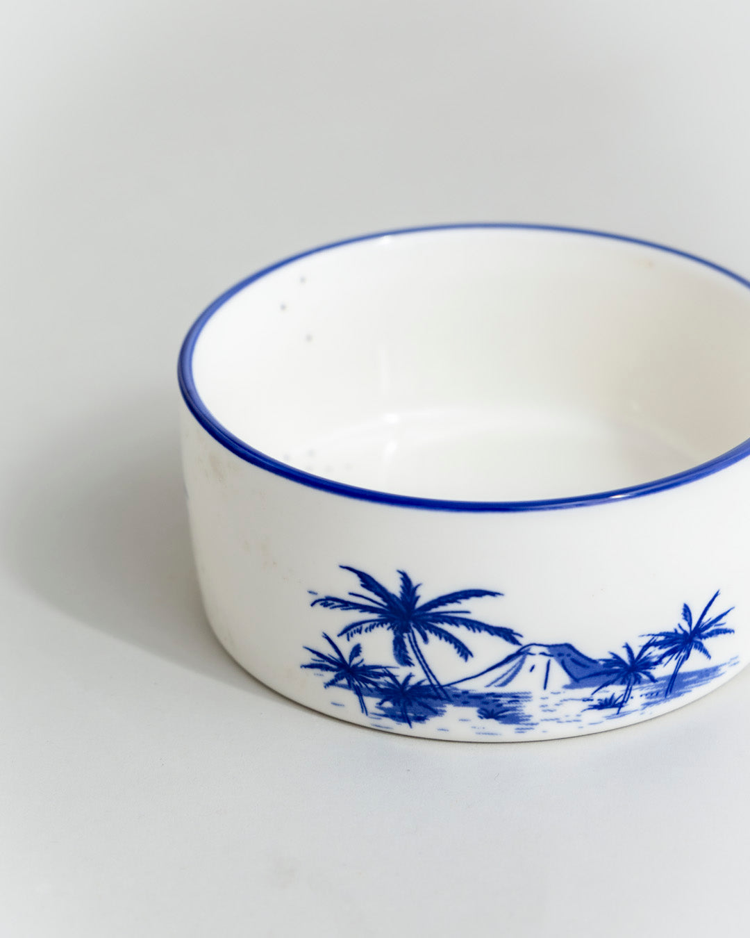 Palm Leaf Ceramic Bowl -Blue