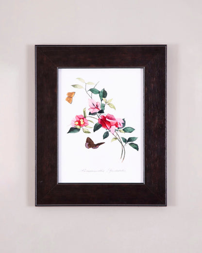 Butterflies & Camellias