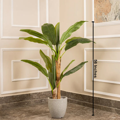 Classic Green Banana Plant Artificial plant - (4.6 Feet)  (Natural Feel)