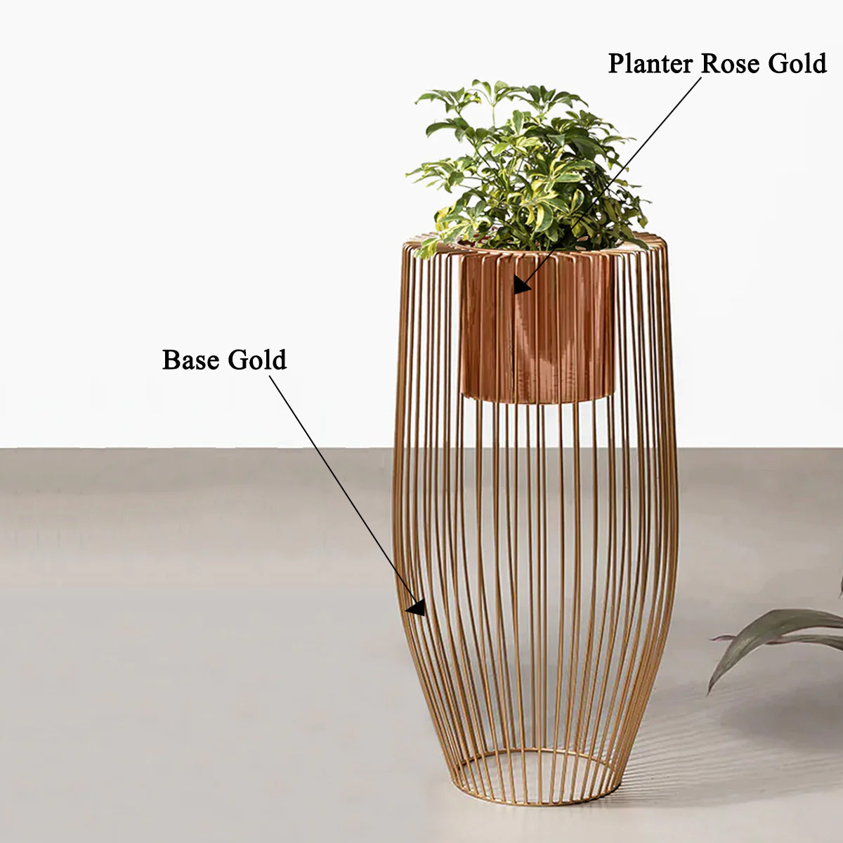 Euphoric Earth Planters - Medium - Rose Gold