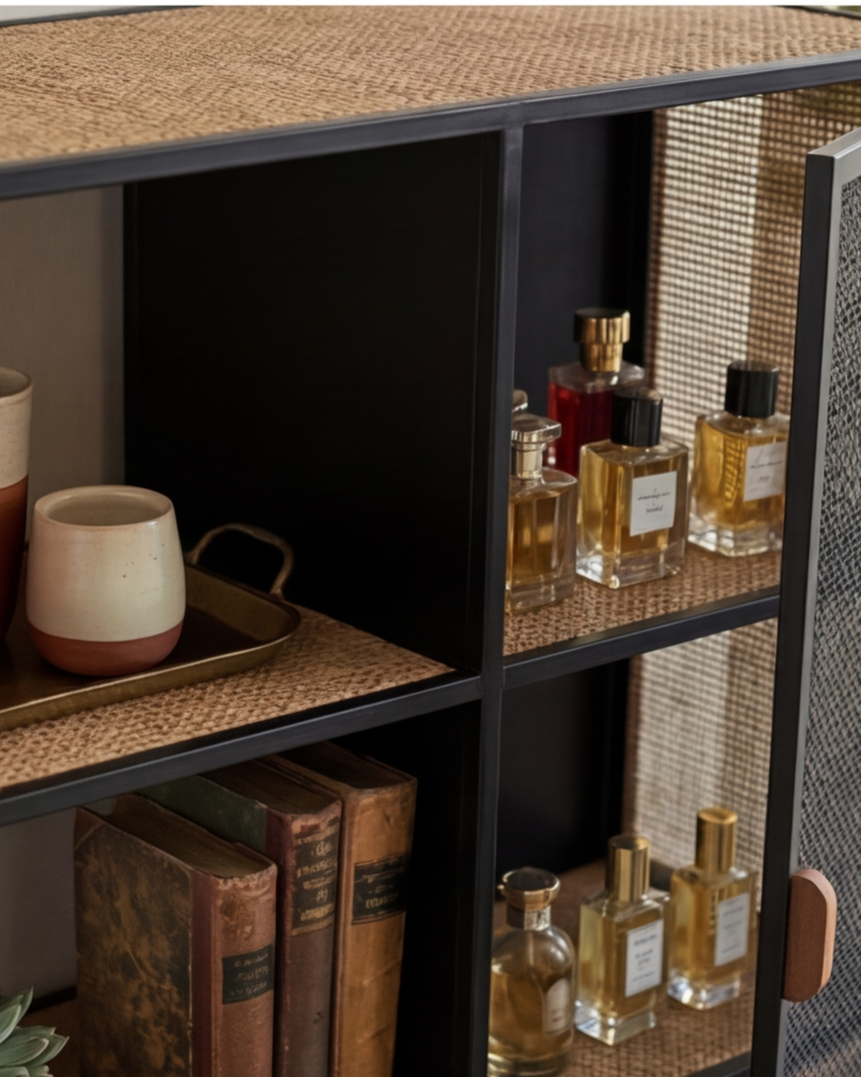 Obsidian Nest Display Cabinet