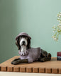 Charming Pet Decorative Dog Figurine - Purple