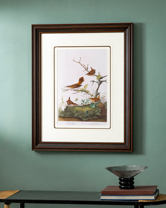 Winter Wren And Rock Wren Birds Print "24x30" Inches