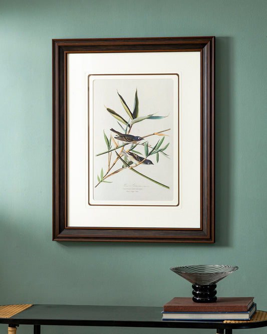 Solitary Flycatcher Bird Print "24x30" Inches