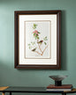 Ruby Crowned Wren Bird Print "24x30" Inches