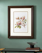 Magnolia Serenity: Artful Blooms Print "24x30" Inches