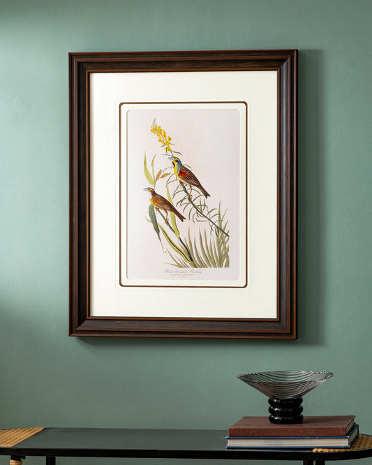 Black Throated Bunting Bird Print "24x30" Inches