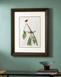 Vintage Botanical Bird Wall Art "24x30" Inches