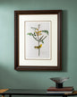 Children's Warbler Bird Print "24x30" Inches