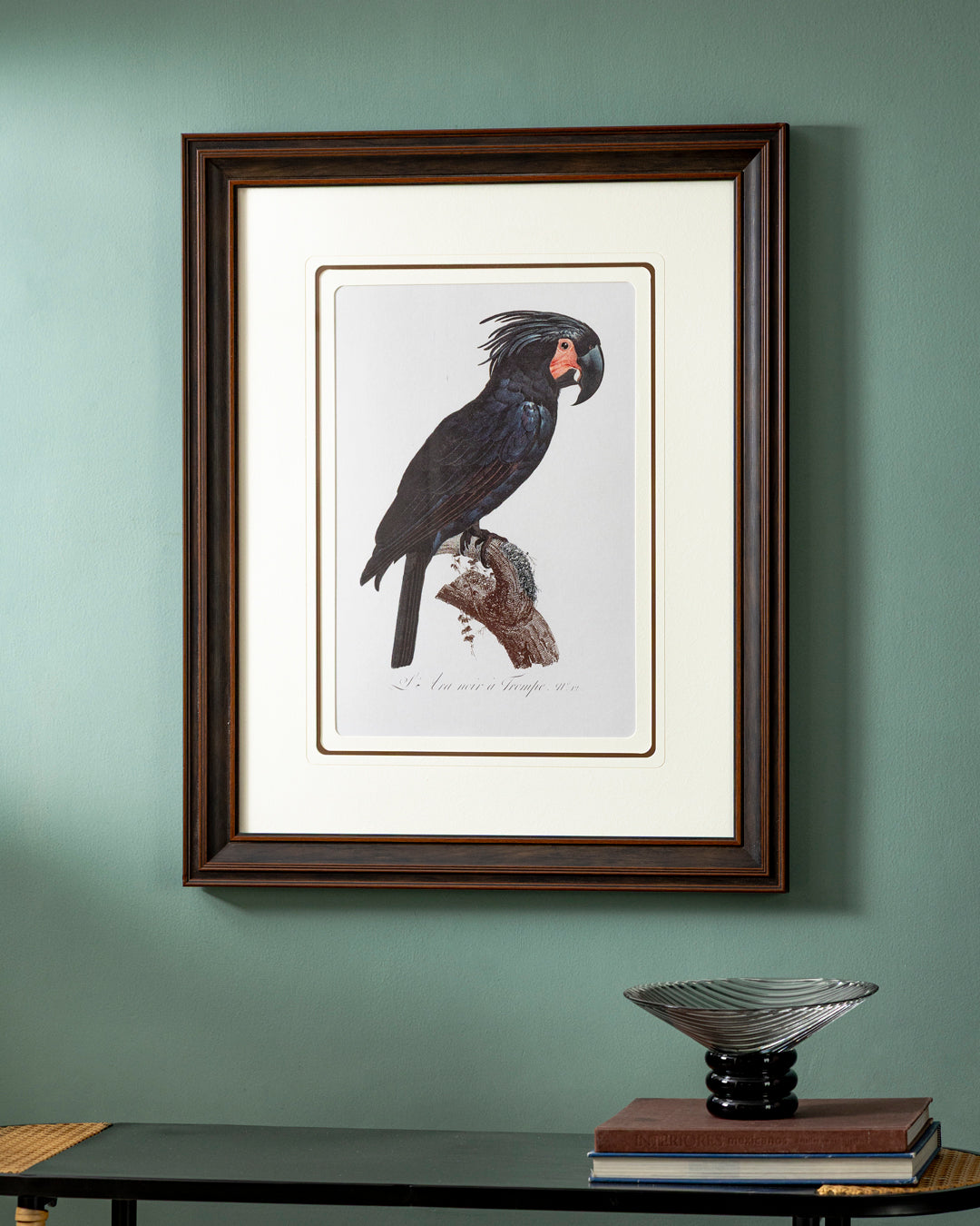 Goliath Cockatoo Bird Print "24x30" Inches