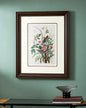Sea Side Finch Bird Print "24x30" Inches