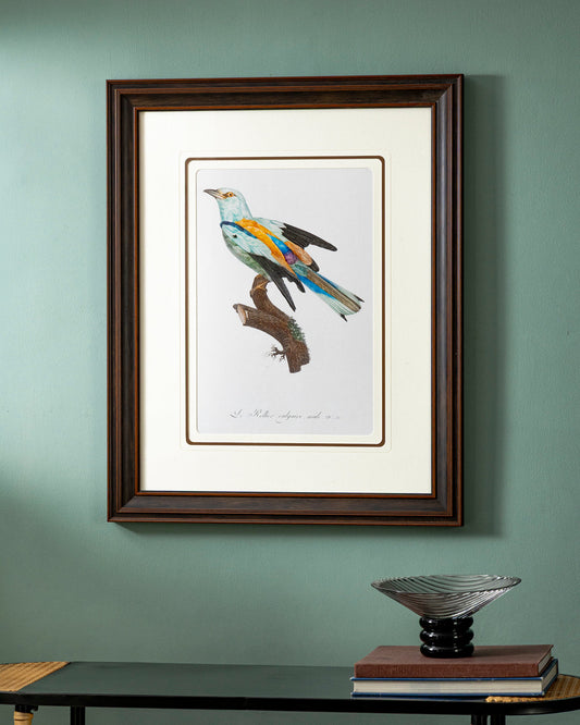 Abyssinian roller Bird Print "24x30" Inches