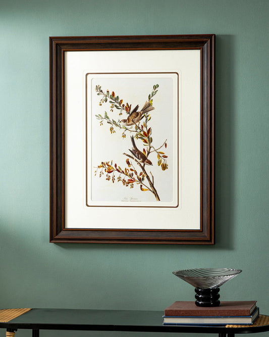 Tree Sparrow Bird Print "24x30" Inches