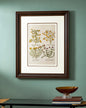 Peony Tile Print "24x30" Inches