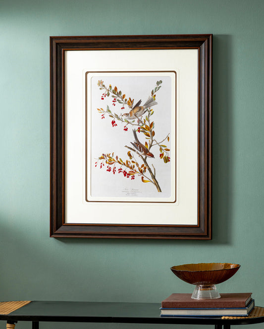 Tree Sparrow Bird Print "24x30" Inches