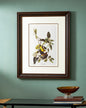 Palm Warbler Bird Print "24x30" Inches