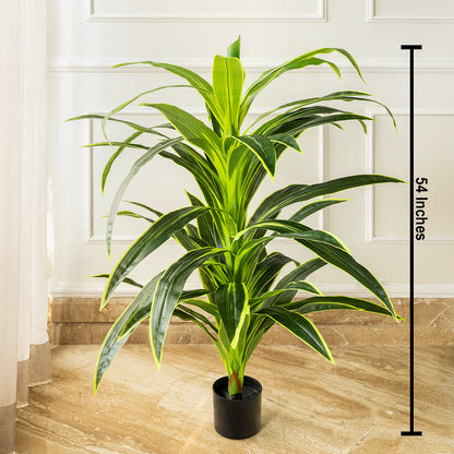 Botanic Beauty Dracaena Lemon Lime Artificial Plant (4.5 Feet) (Natural Feel)