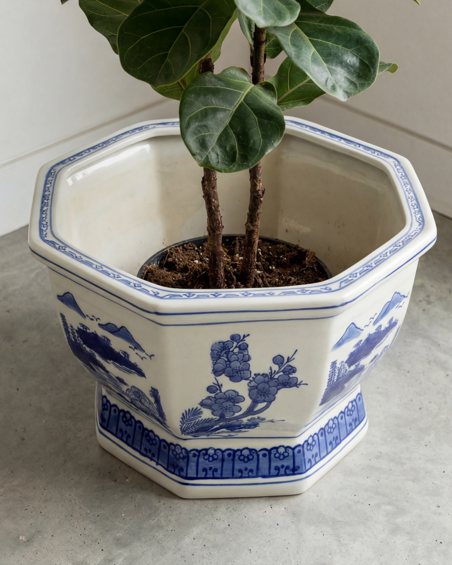 Imperial Hexa Crest Planter - Medium