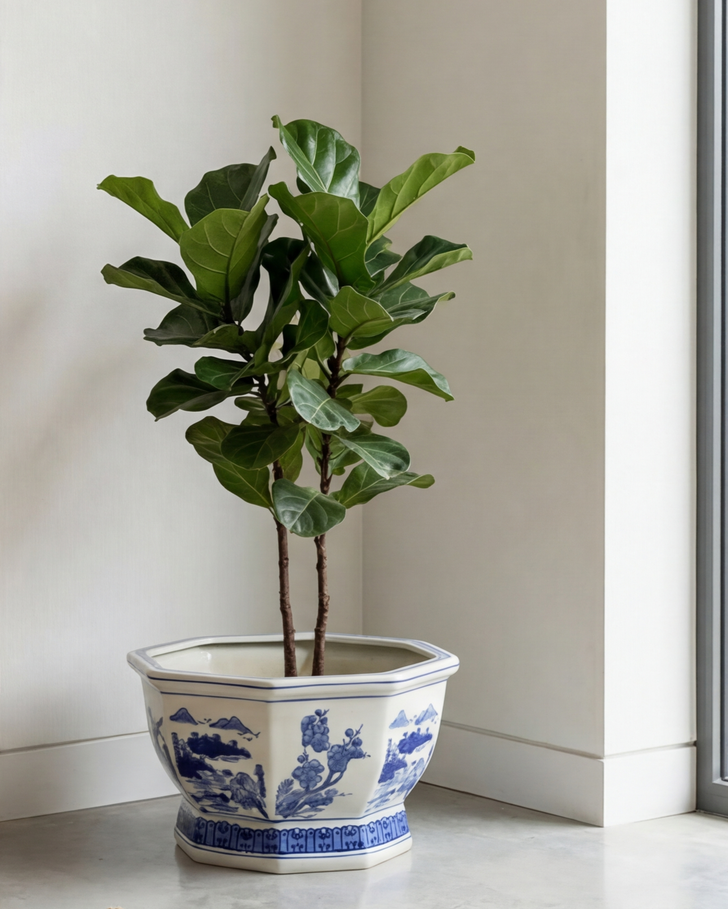 Imperial Hexa Crest Planter - Medium