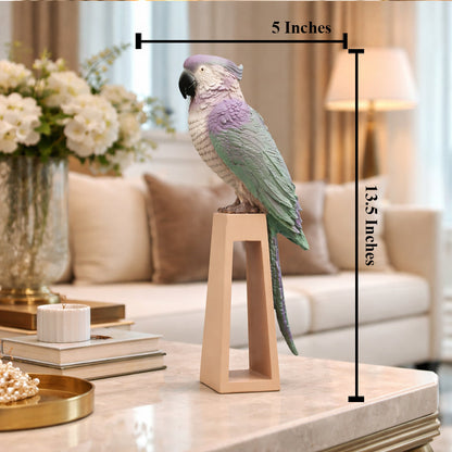 Pastel Parrot Decorative showpiece & Items for Room Decoration