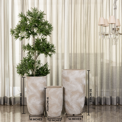 Leaf Tropicana Indoor Planters For Home - Set of 3
