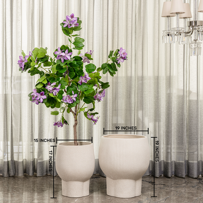 Cypress Echo Indoor Planters For Home - Set of 2