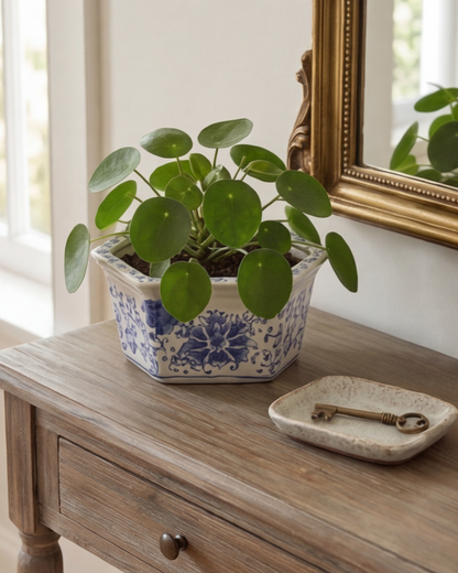 Blue Blossom Heritage Planter - 23 cm