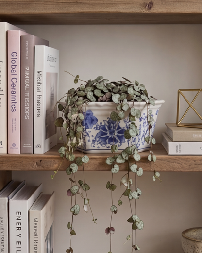 Blue Blossom Heritage Planter - 17 cm