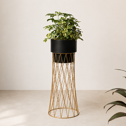 Zen Botanics Planters - Big - Black