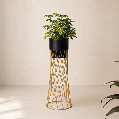 Zen Botanics Planters - Medium - Black