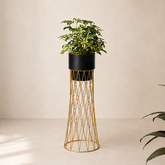 Zen Botanics Planters - Medium - Black
