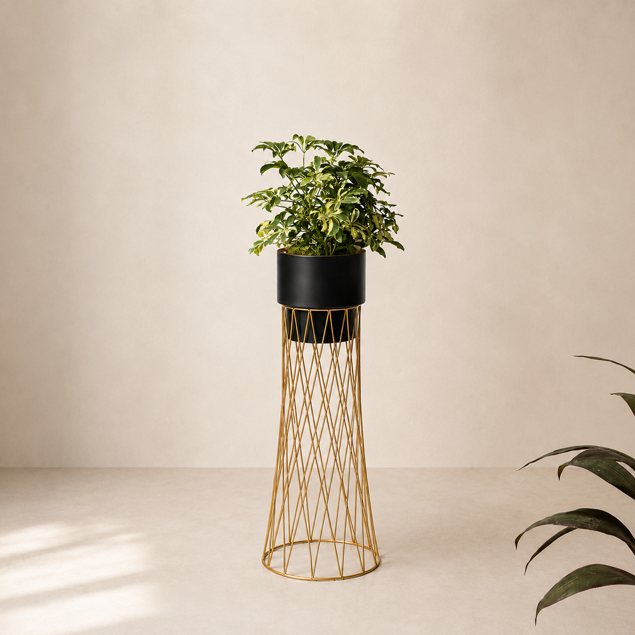 Zen Botanics Planters - Medium - Black