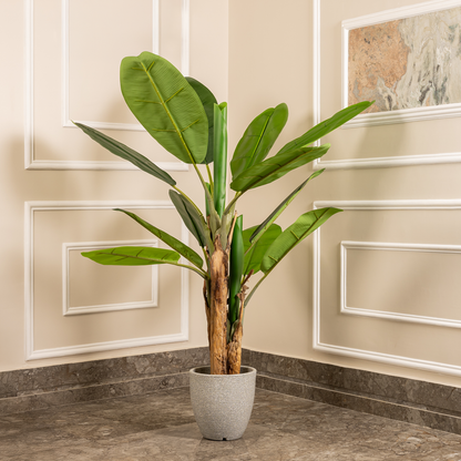 Classic Green Banana Plant Artificial plant - (5.6 Feet) (Natural Feel)
