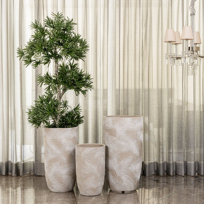 Leaf Tropicana Indoor Planters For Home - Set of 3
