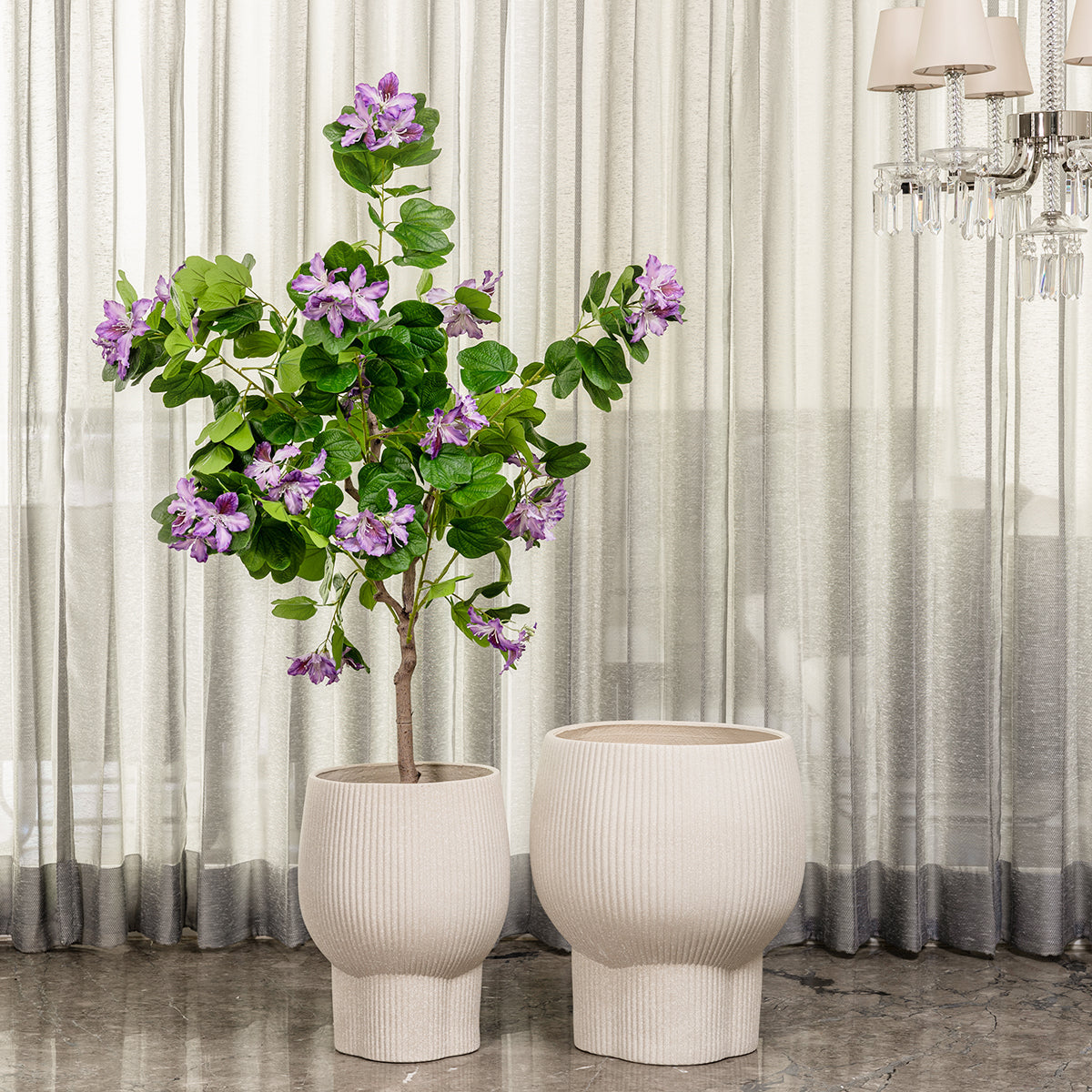 Cypress Echo Indoor Planters For Home - Set of 2