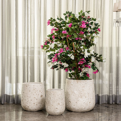 Moonscape Elegance Indoor Planters For Home - Set of 3