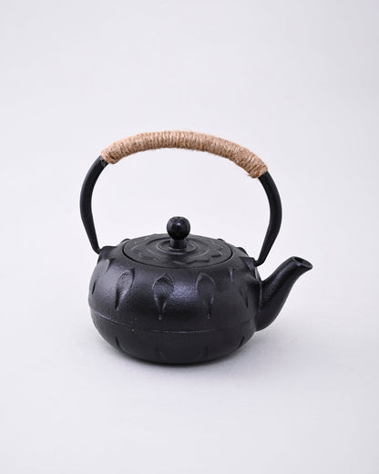 Japanese Cast Iron Teapot