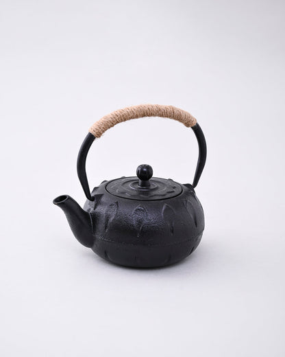 Japanese Cast Iron Teapot
