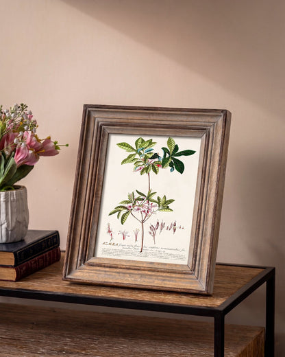Desert Oak Classic Photo Frame