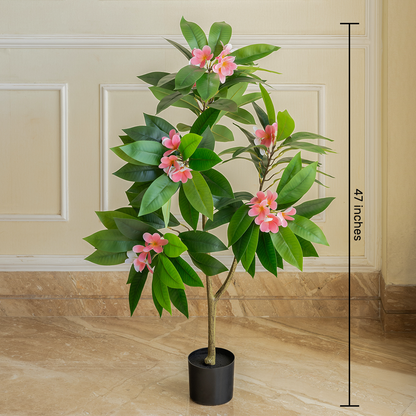 Frangipani Pink Echo Artificial Flower Plant For Home (4 Feet) (Natural Feel)
