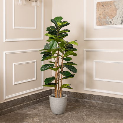 Elegant Green Fiddle Leaf Fig Artificial plant - (5.8 Feet) (Natural Feel)