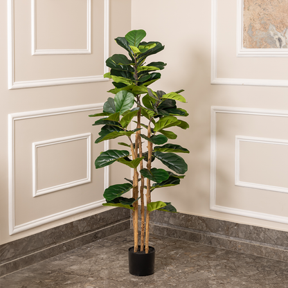 Elegant Green Fiddle Leaf Fig Artificial plant - (5.8 Feet) (Natural Feel)