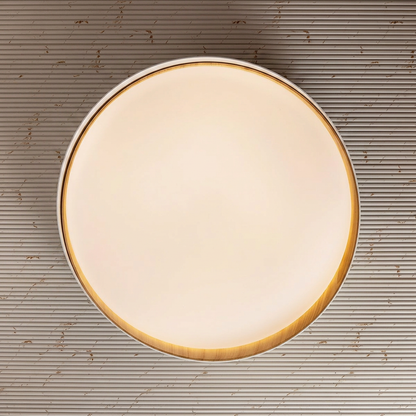 Nordic Ring Ceiling Light For Home & Home Decoration Item