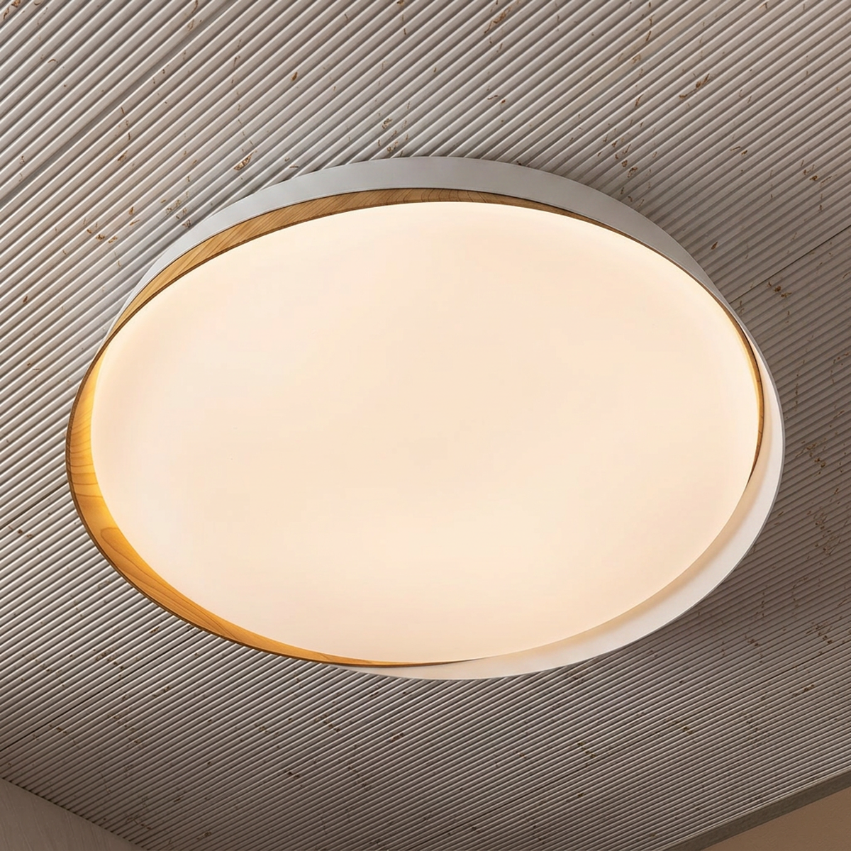 Nordic Ring Ceiling Light For Home & Home Decoration Item