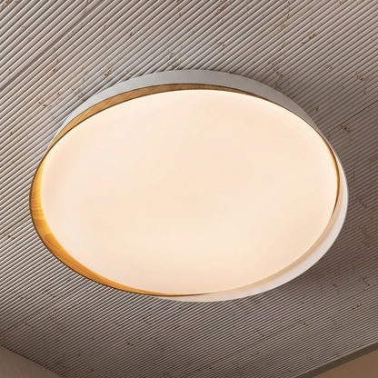 Nordic Ring Ceiling Light For Home & Home Decoration Item