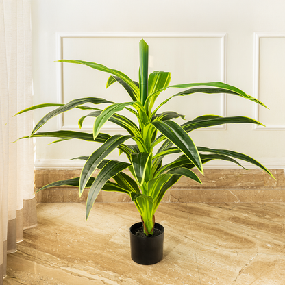 Botanic Beauty Dracaena Lemon Lime Artificial Plant (3.5 Feet) (Natural Feel)