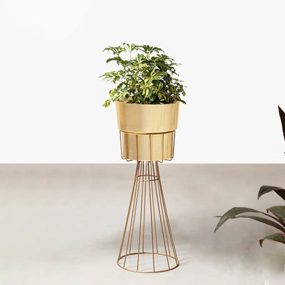Avant-Garden Planters - Medium - Gold