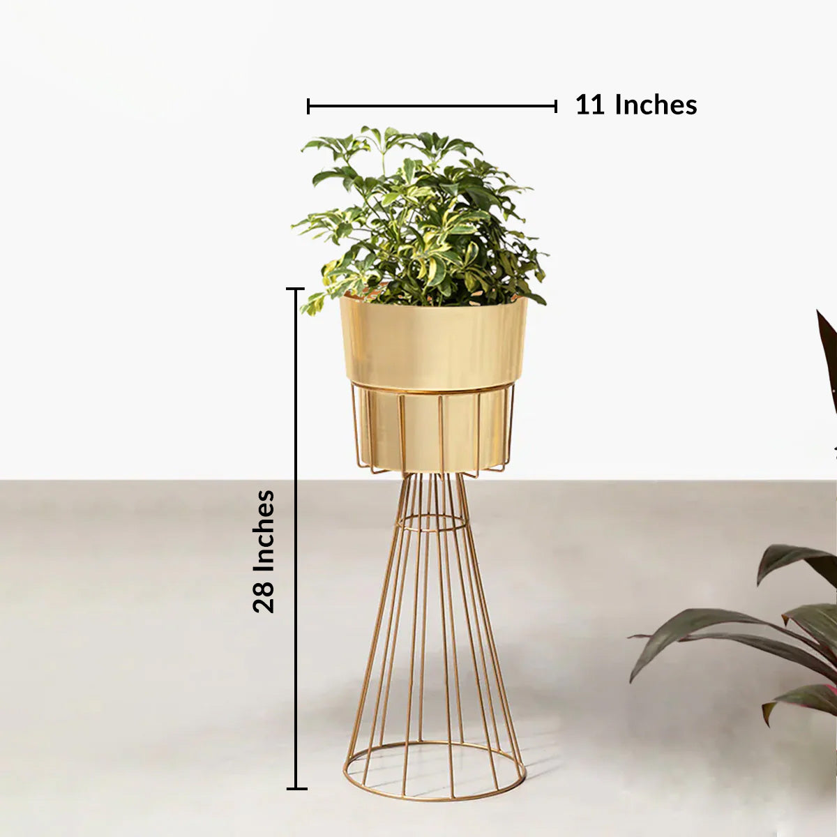 Avant-Garden Planters - Medium - Gold