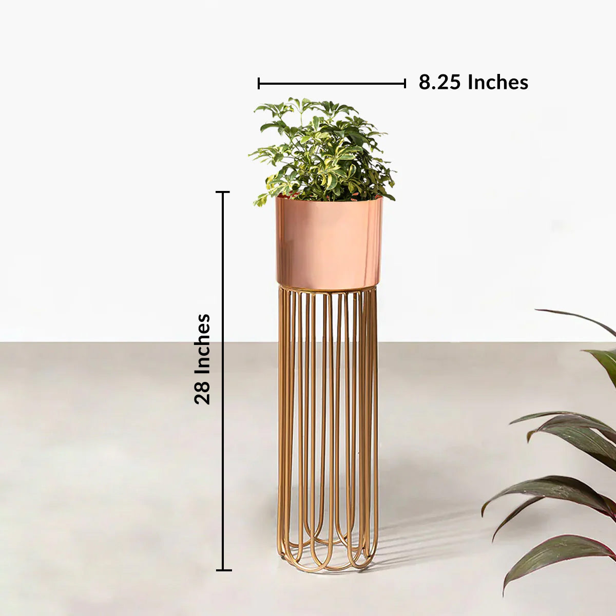 Artisan Arboretum Planters - Medium - Rose Gold