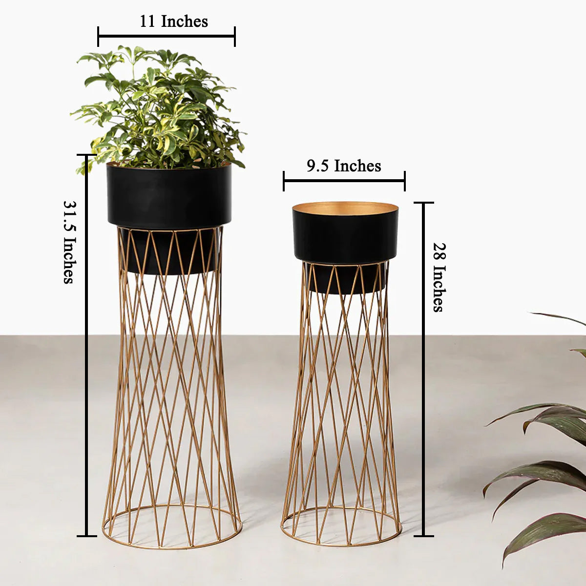 Zen Botanics Planters Set of 2 - Black